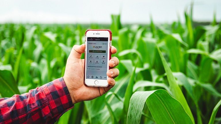Agfintechs: saiba o que elas são e como impactam o agronegócio