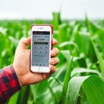 Agfintechs: saiba o que elas são e como impactam o agronegócio