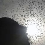 Onda de calor: BH tem dia mais quente do ano neste domingo (24)
