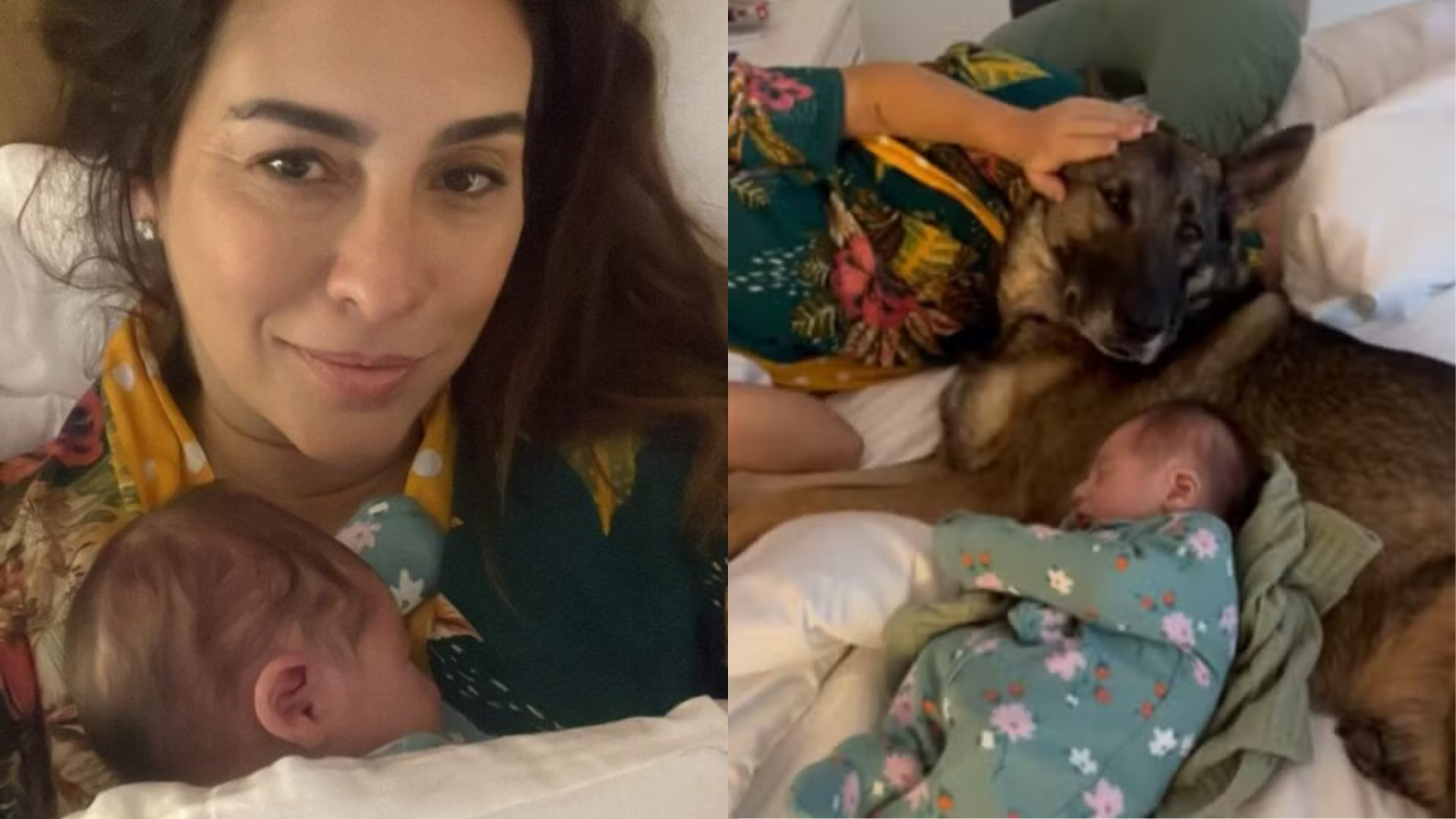 Fernanda Paes Leme exibe primeiro encontro entre filha recém-nascida e pet