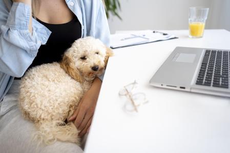 Companhias já adotam o modelo, com espaços próprios para os pets; boas práticas tornam o pet day mais seguro