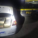 PFR apreende 350 pássaros durante fiscalização de rotina em Montes Claros