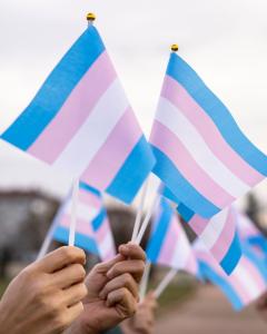 Bandeira Trans