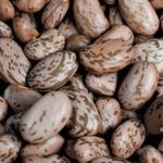 Bean protein! Proteína do feijão no mercado