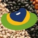 Valdir Barbosa | Brasil abre com a Índia o maior caminho para exportação de feijão