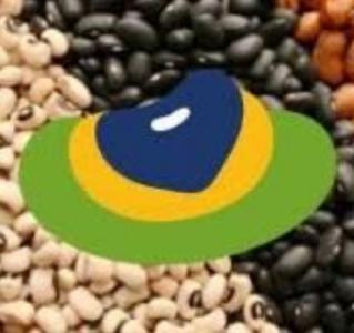 Preço do feijão pesa no bolso do consumidor