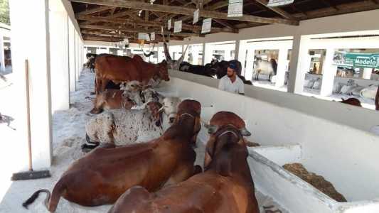 Feira Agropecuária em Ouro Preto