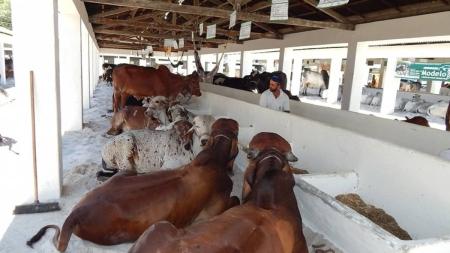Feira Agropecuária em Ouro Preto