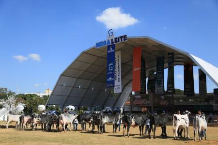 Parque da Gameleira, em BH, se prepara para receber mais uma edição da Megaleite