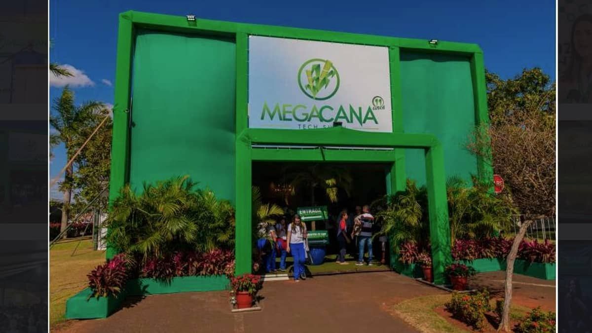 Presidente da Siamig diz que Minas terá a maior safra de cana da sua história  