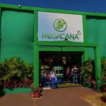 Presidente da Siamig diz que Minas terá a maior safra de cana da sua história