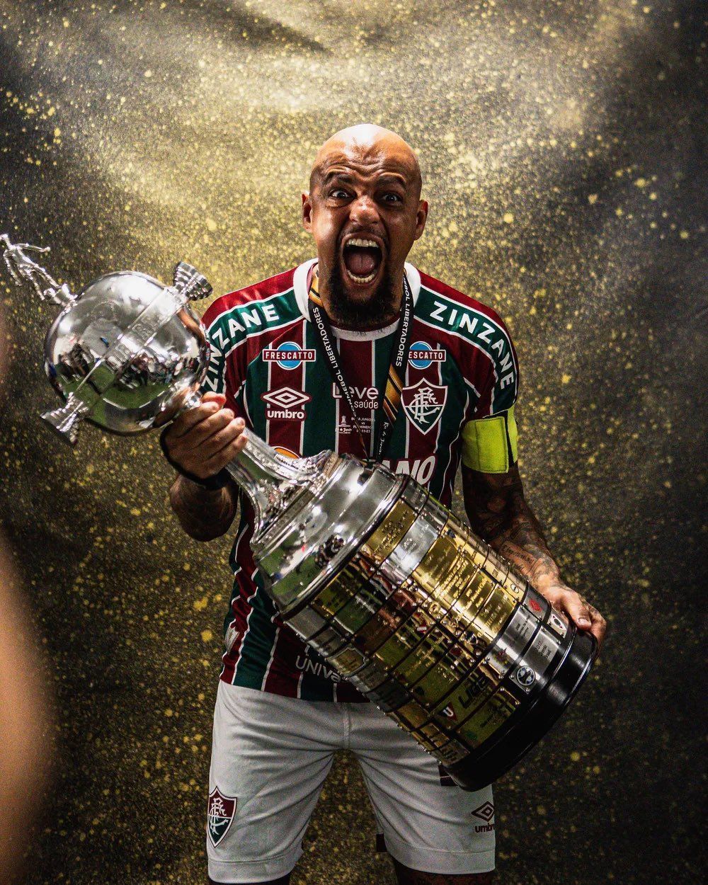 Campeão da Libertadores pelo Fluminense, Felipe Melo encerra carreira; veja os números no clube