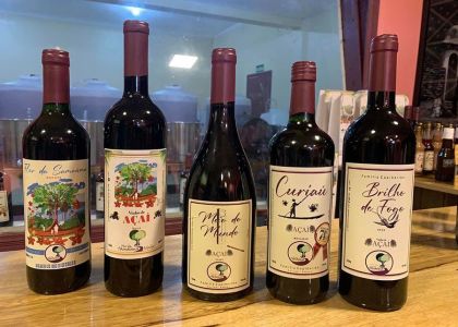 Lula planeja servir vinho de açaí durante a COP 30 em Belém, no Pará