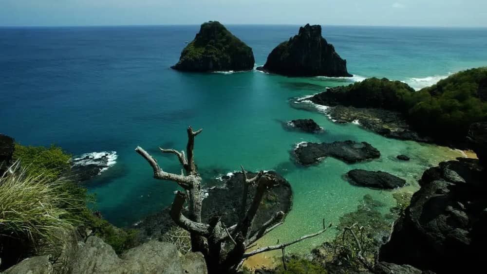 Recifes de Fernando de Noronha são ameaçados por plástico