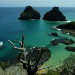 Recifes de Fernando de Noronha são ameaçados por plástico