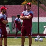 Fernando Diniz destaca sinergia da torcida para momento do Fluminense