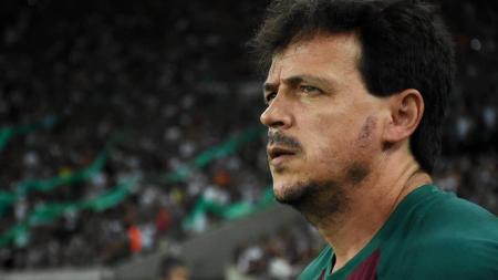 Fernando Diniz vive ótimo momento a frente do Fluminense