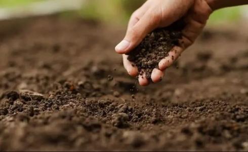 recursos minerais fortalecem a produção de alimentos