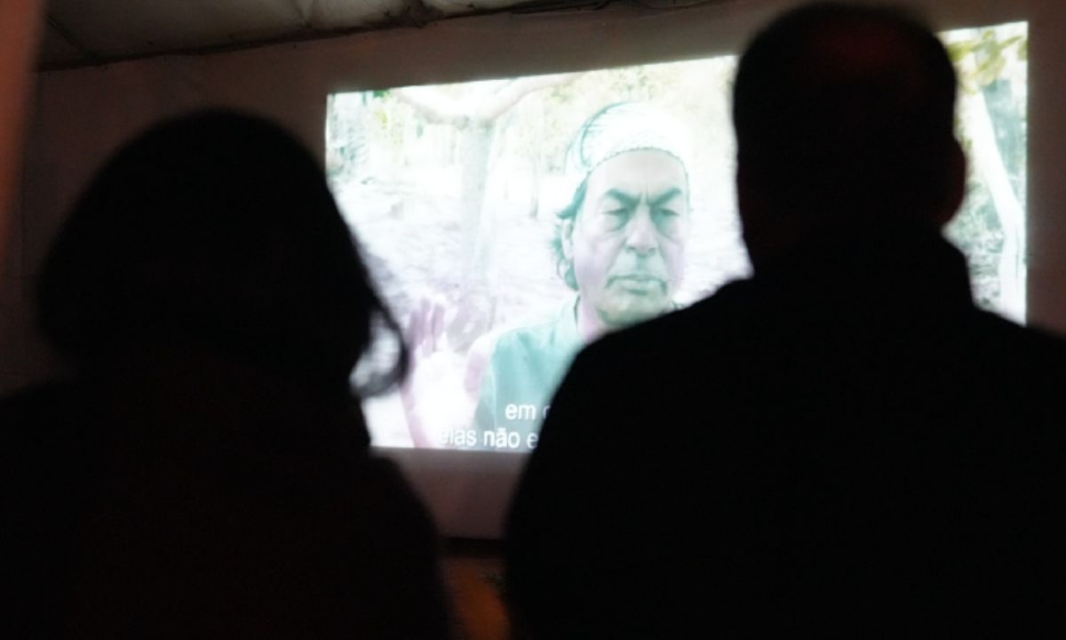 Festival Sarancine discute cinema e consciência ambiental na Semana do Meio Ambiente