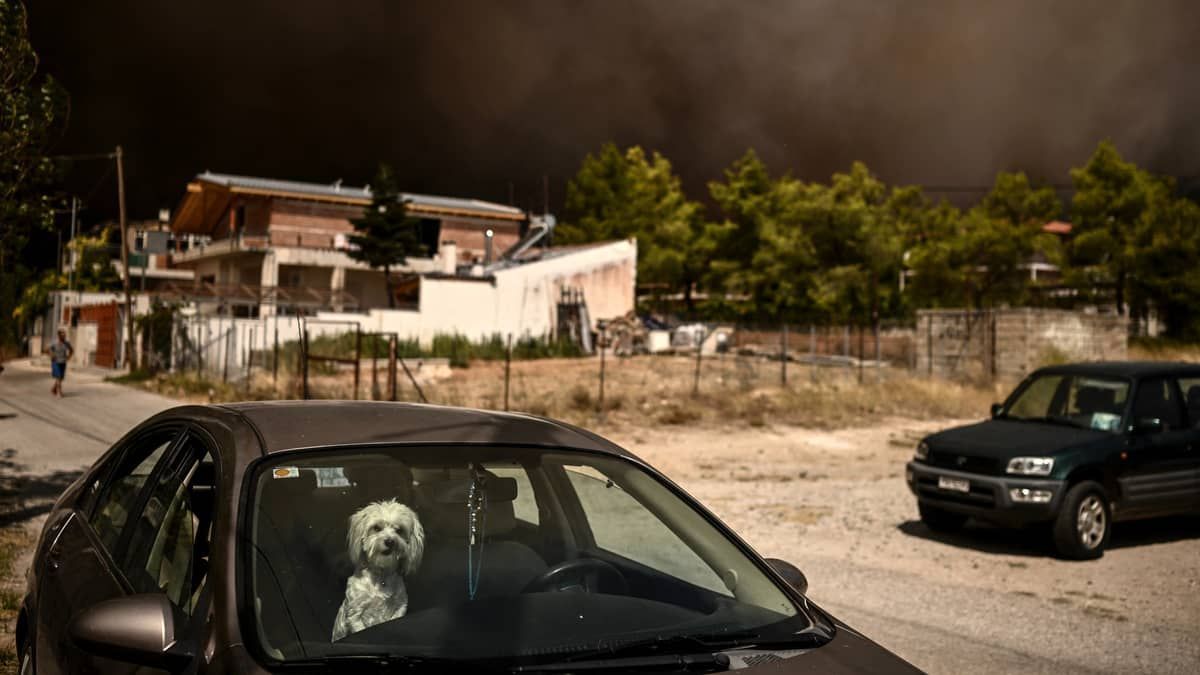 Combate ao maior incêndio já registrado na Europa continua na Grécia