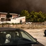 Combate ao maior incêndio já registrado na Europa continua na Grécia