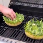 Vídeo: família dos EUA viraliza após fazer 'churrasco de girassol'; veja a receita