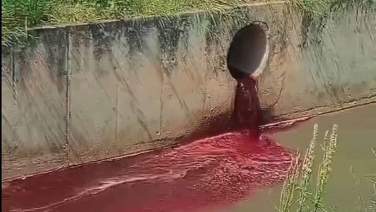 Frigorífico é suspeito de despejar sangue e vísceras de animais em córrego de Betim