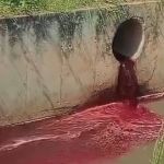 Vídeo: frigorífico é suspeito de descartar restos de animais em córrego de Betim (MG)