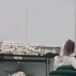 Vídeo mostra filha única de Elizangela acariciando o rosto da mãe em despedida no Rio