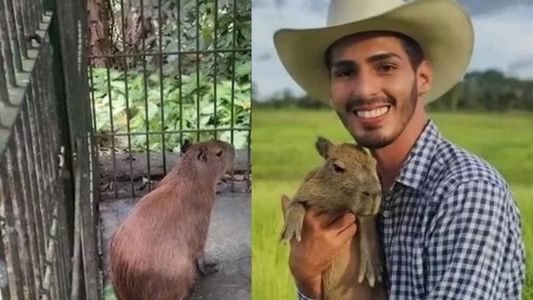 Filó ficou presa em uma gaiola no Ibama