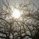 Vai fazer calor no fim de semana? Veja previsão do tempo para BH e regiões de Minas