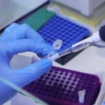 Fiocruz confirma morte por influenza suína no Paraná