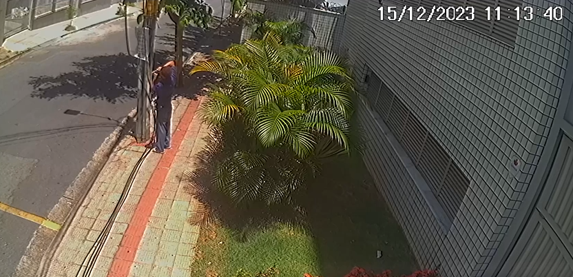 Vídeo: ladrão age com tranquilidade para furtar fios de poste no bairro União, em BH