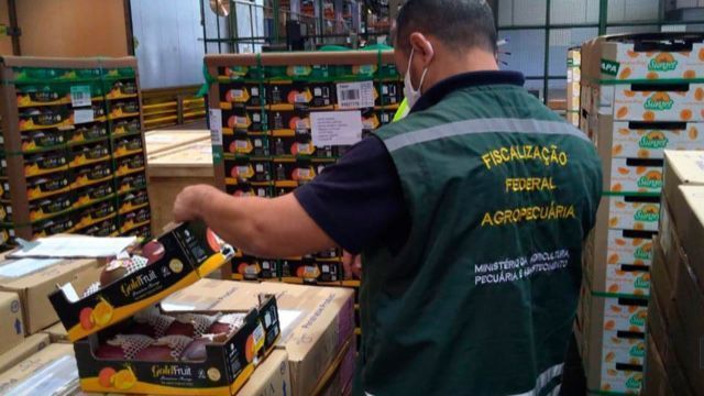 Ministério da Agricultura vigilante na qualidade dos alimentos