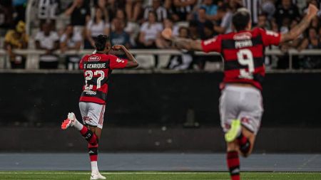 Flamengo foi o único time a vencer o Botafogo no Nilton Santos, até o momento, neste Campeonato Brasileiro