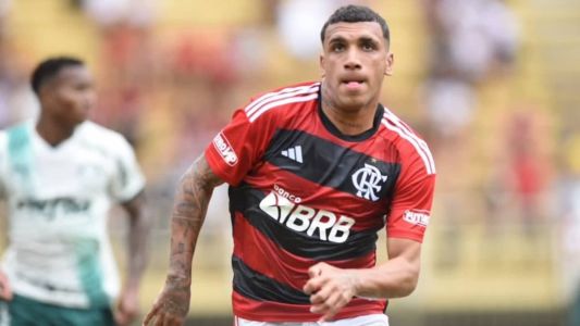Flamengo vence Palmeiras na final do Brasileiro Sub-20