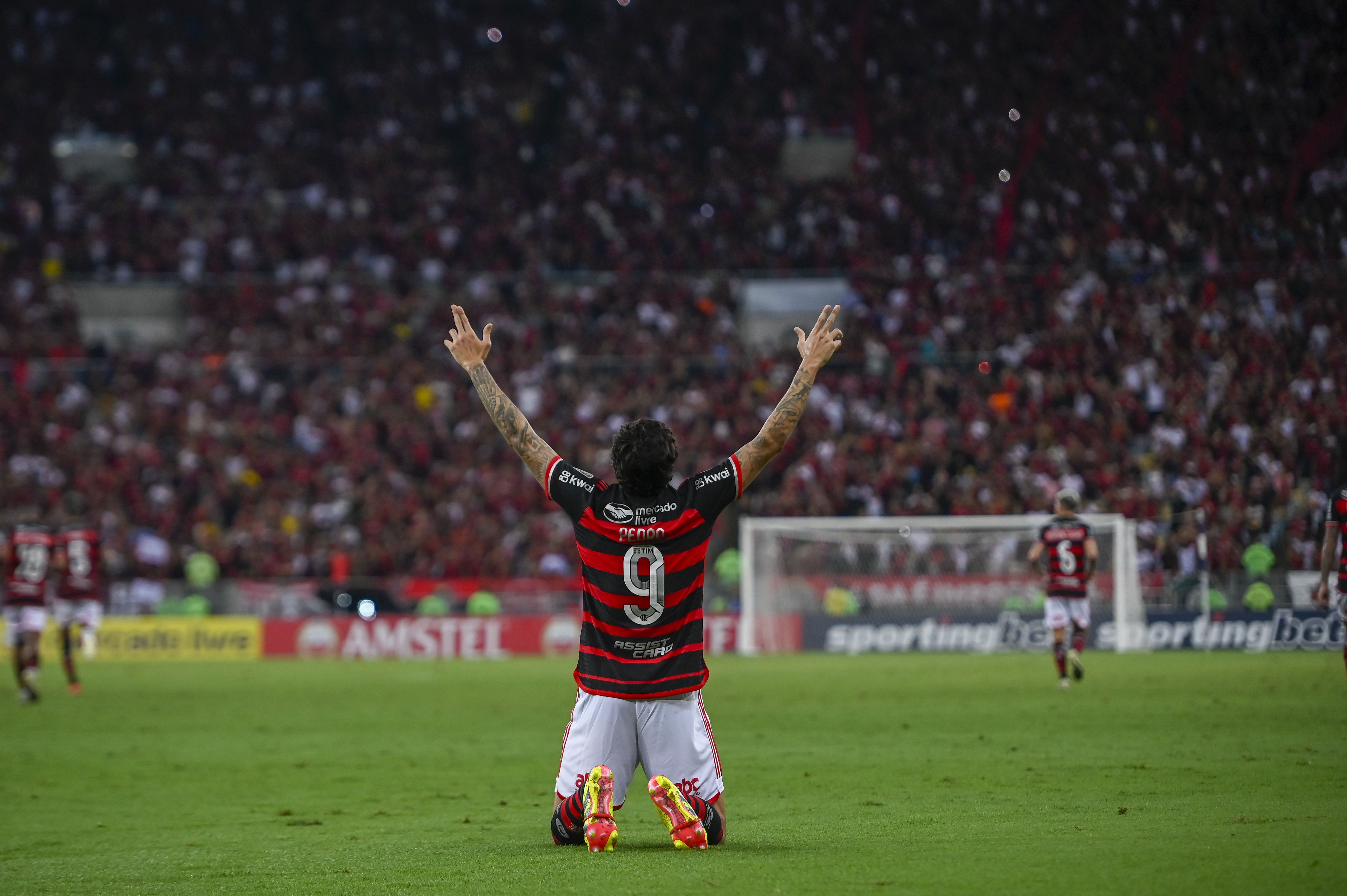 Flamengo confia em 'fator casa' para encaminhar vaga contra o Bolívar