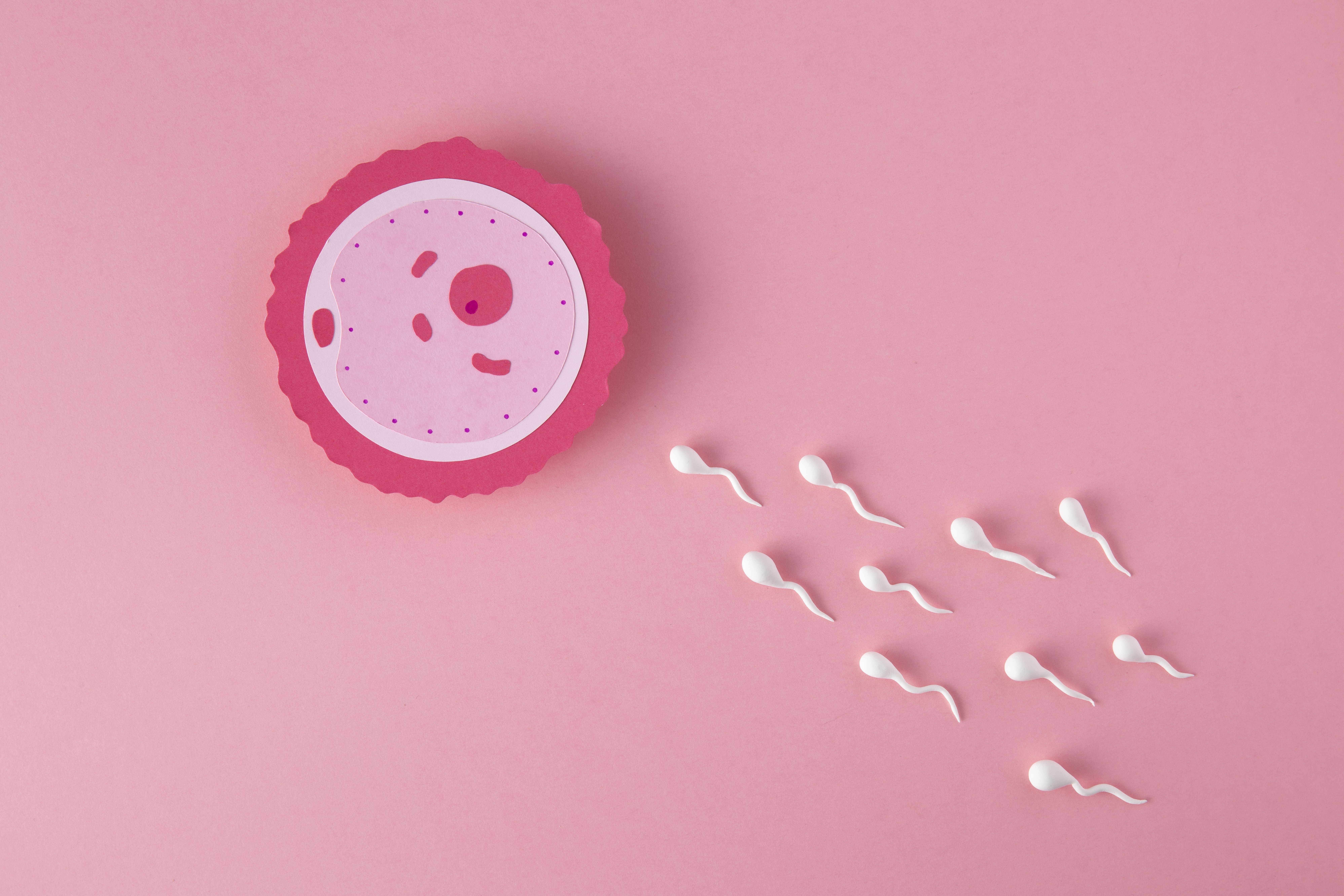 Fertilidade está em queda em mais de 190 países, aponta estudo