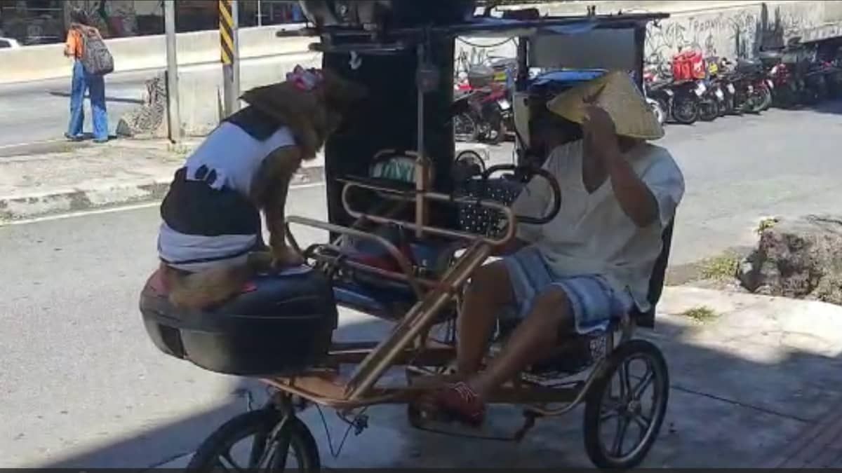 Motorista de tuk-tuk faz sucesso no Centro de BH; conheça história