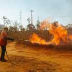 Incêndio destrói um terço da Floresta de Brasília; ICMBio suspeita de ação criminosa
