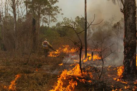 El Niño e período seco aumentam risco de queimadas no Brasil; prevenção é principal estratégia