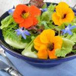 Que tal uma lavoura mais PANC? Conheça as plantas alimentícias não convencionais