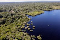 SNA critica avanço de projeto que libera voos domésticos na região da Amazônia
