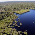 Noruega anuncia doação de US$ 60 milhões ao Fundo Amazônia