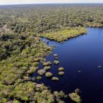 Amazônia fortalece imagem do Brasil no exterior, aponta levantamento