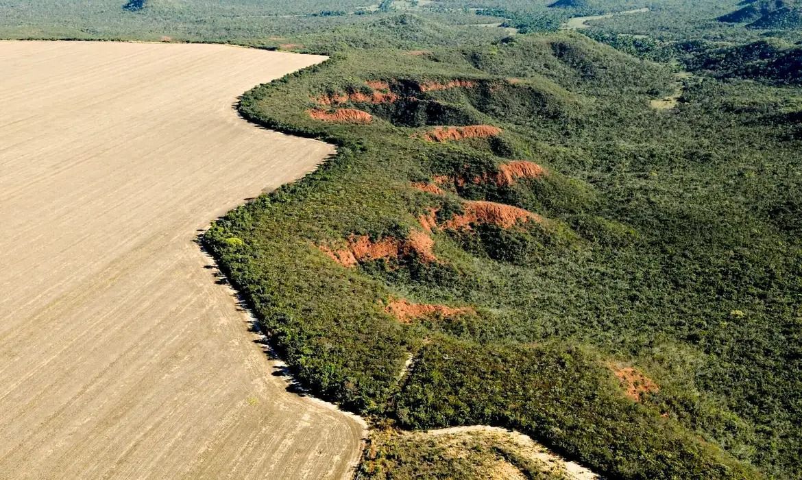 Nova lei de licenciamento ambiental divide opiniões e vai à sanção de Lula