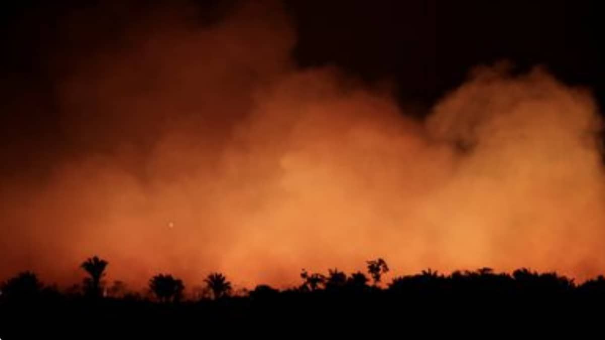 Governo envia tropas da Força Nacional para conter incêndios no Amazonas
