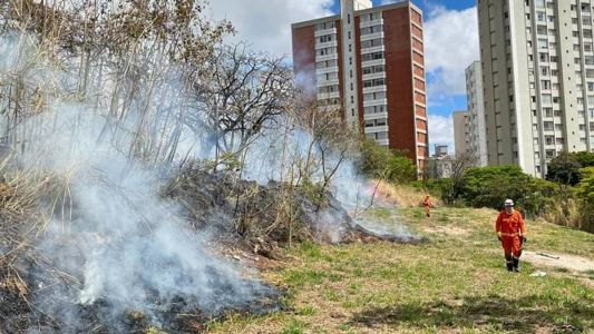 Fogo atingiu mata nas proximidades da rua Patagônia, no bairro Sion