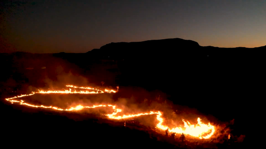 Dia mundial da água: Cerrado, conhecido como berço das águas, já teve 53% de área desmatada | CNN Brasil