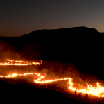 Mais da metade da área do Cerrado já foi desmatada, aponta estudo